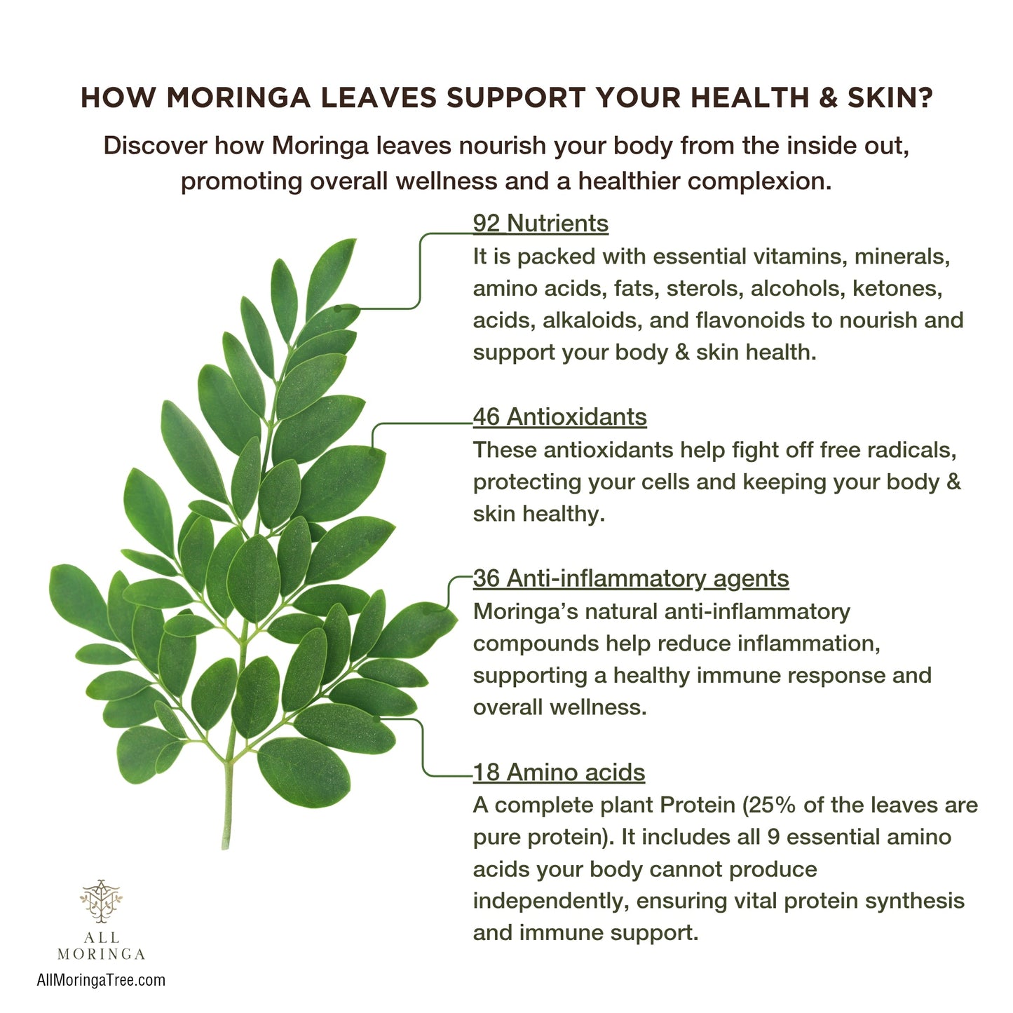 Premium Organic Moringa leaf Powder Supplements in Vegan Capsules 120ct in a Glass Jar. Non-GMO, Complete Green Superfood-2