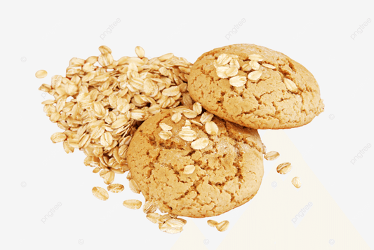 Pupums Human-Grade Vegan Crispy Oatmeal Chip Dog Treats-1