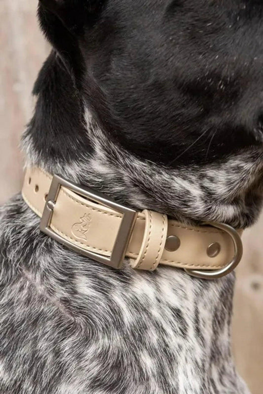 Champagne Fizz Vegan Leather Dog Collar-0